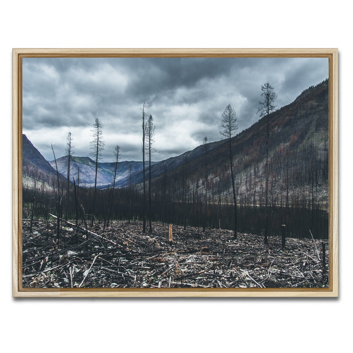 AUTO-MOCKUP WHITE | Scorched Trees | 1 Piece | Natural Framed Canvas | group=4x3