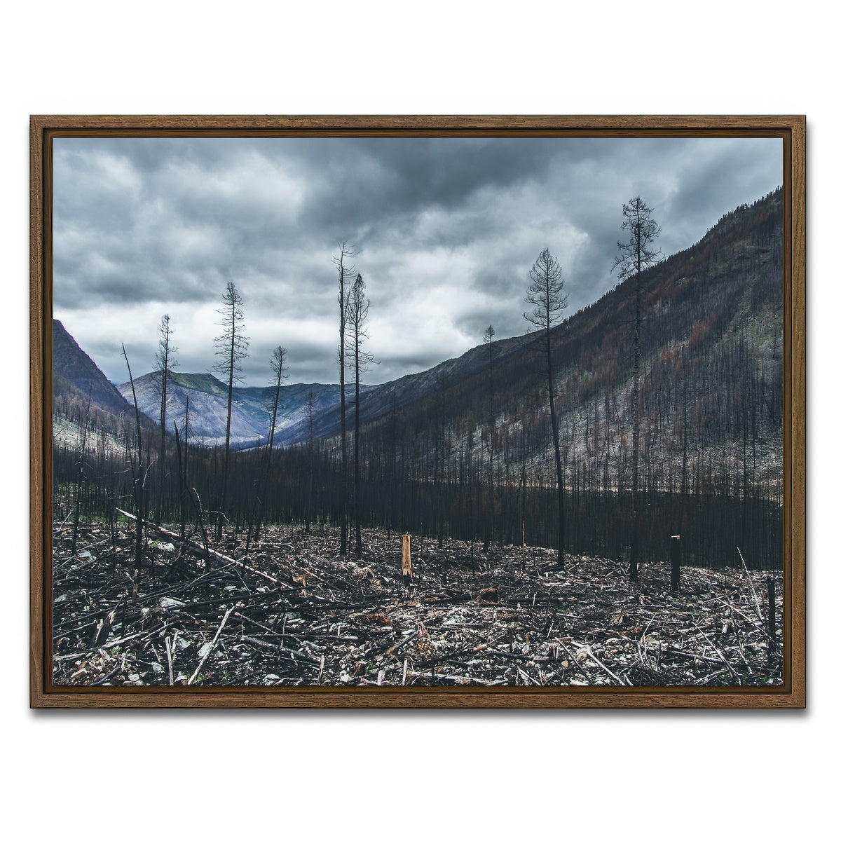AUTO-MOCKUP WHITE | Scorched Trees | 1 Piece | Walnut Framed Canvas | group=4x3