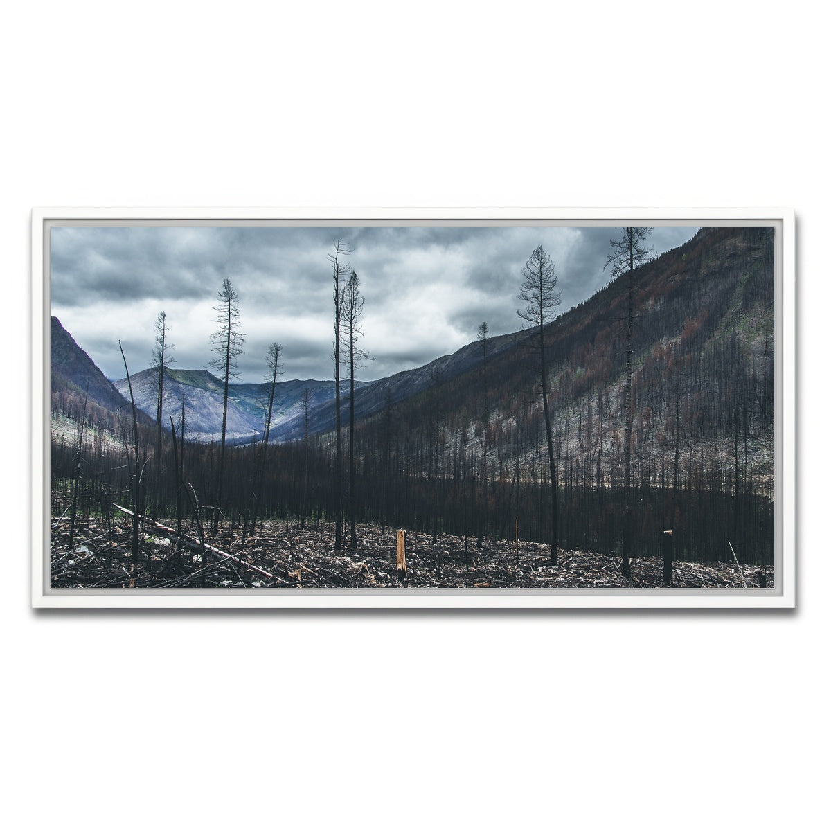 AUTO-MOCKUP WHITE | Scorched Trees | 1 Piece | White Framed Canvas | group=2x1