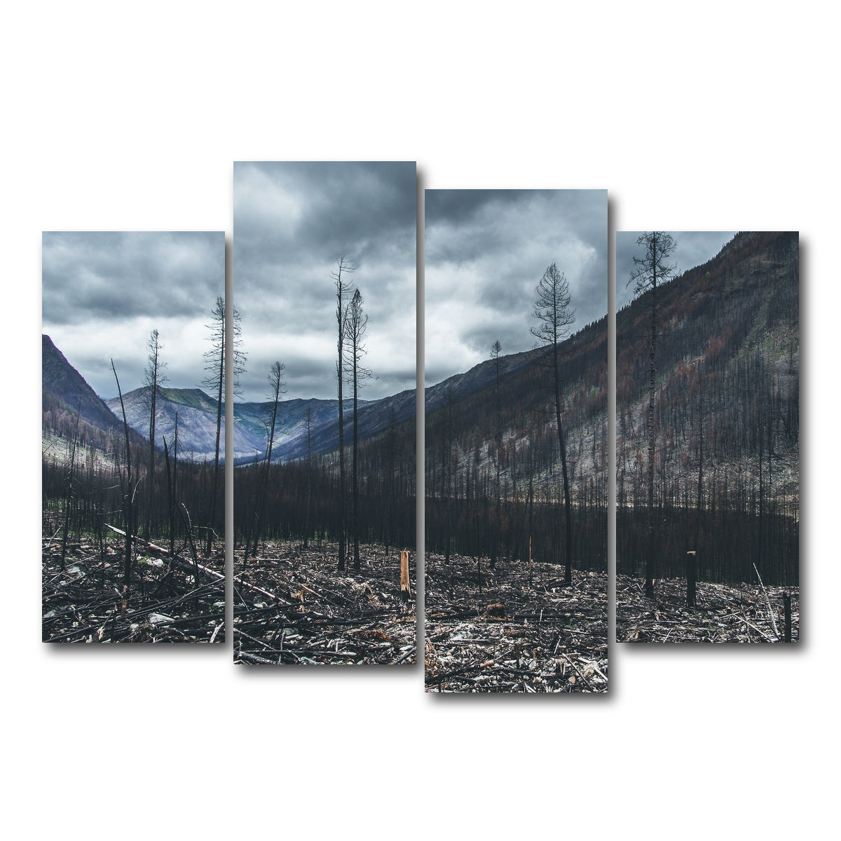 AUTO-MOCKUP WHITE | Scorched Trees | 4 Piece | Gallery Wrap Canvas | group=4_normal