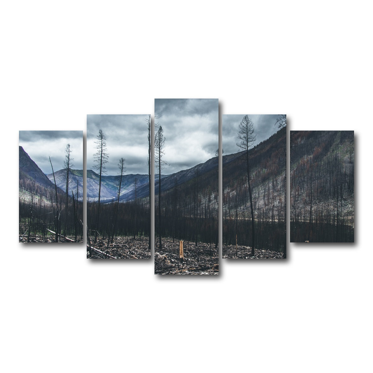 AUTO-MOCKUP WHITE | Scorched Trees | 5 Piece | Gallery Wrap Canvas | group=5_normal