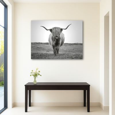 AUTO-MOCKUP ROOM | Scottish Bull