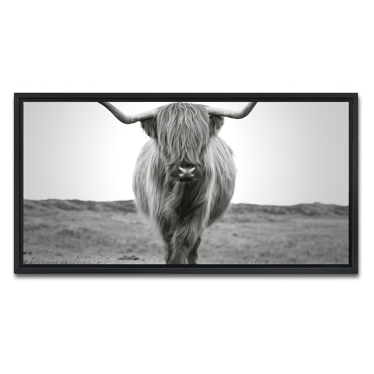 AUTO-MOCKUP WHITE | Scottish Bull | 1 Piece | Black Framed Canvas | group=2x1