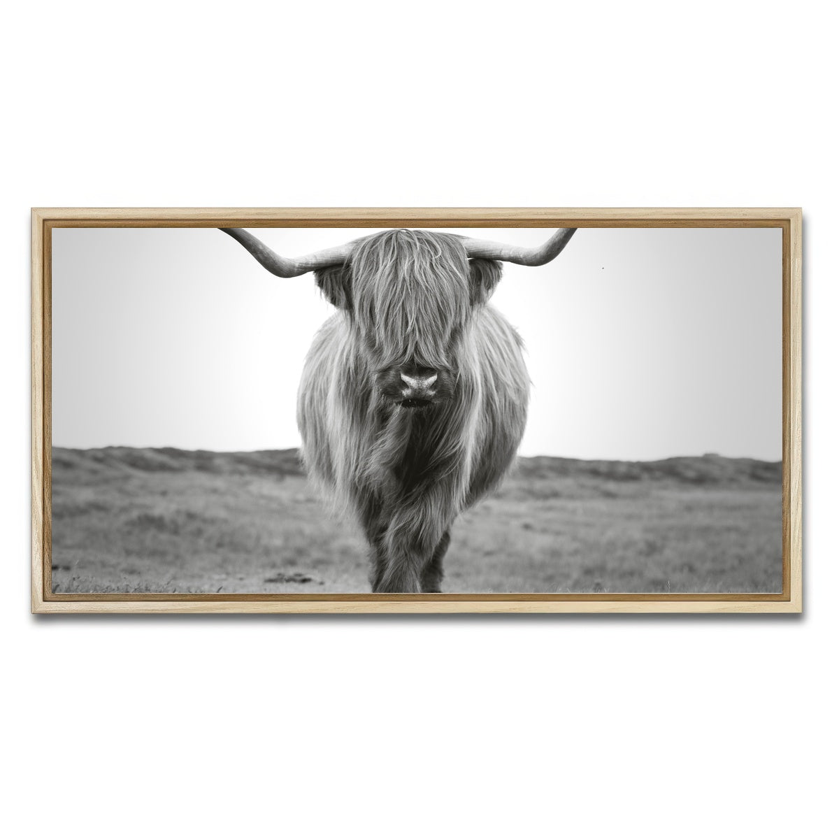 AUTO-MOCKUP WHITE | Scottish Bull | 1 Piece | Natural Framed Canvas | group=2x1
