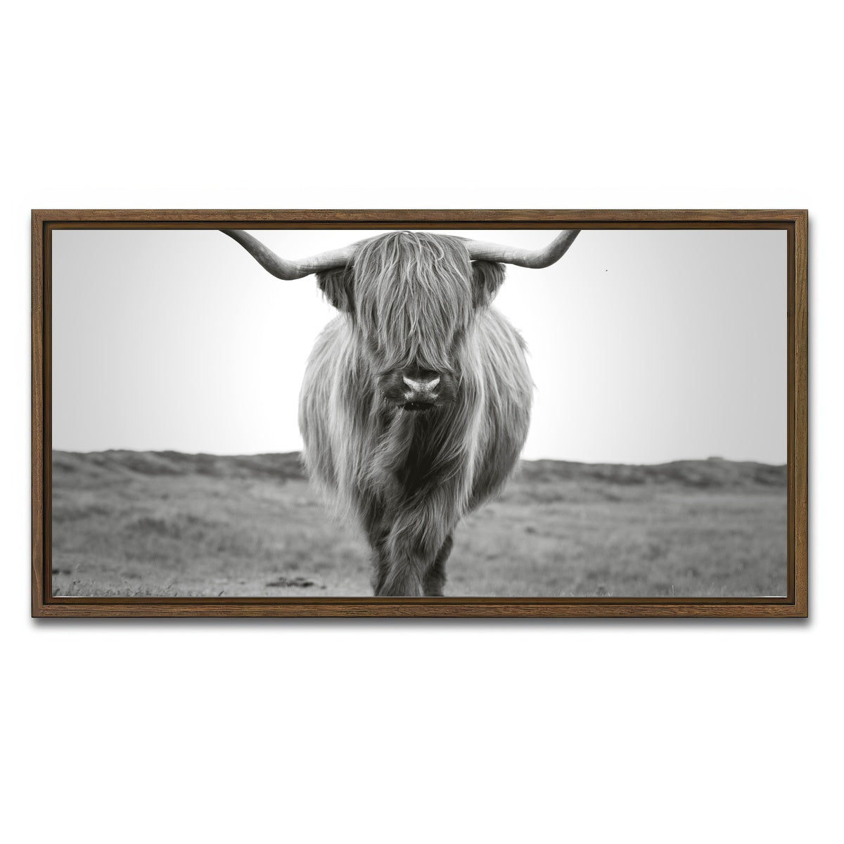 AUTO-MOCKUP WHITE | Scottish Bull | 1 Piece | Walnut Framed Canvas | group=2x1