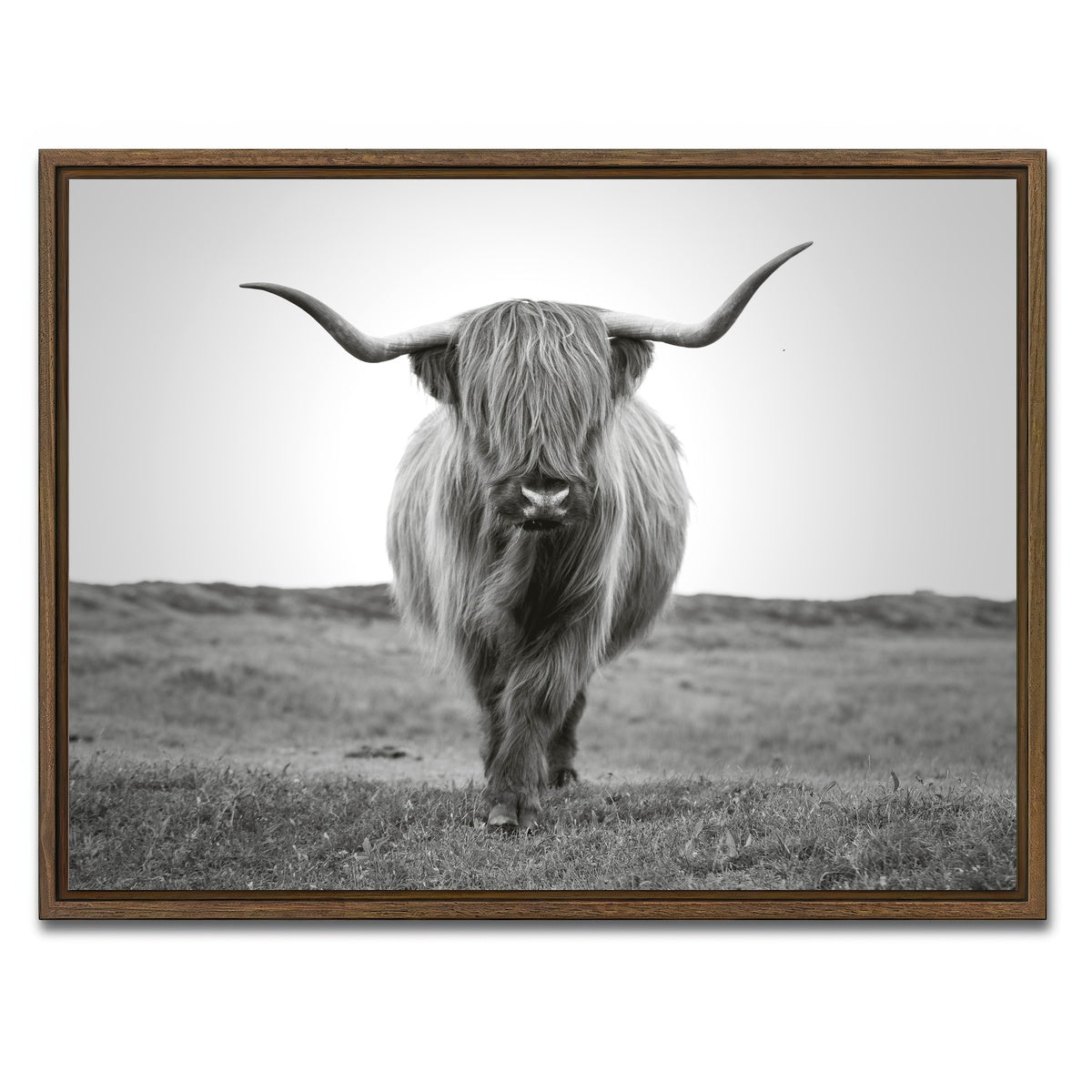 AUTO-MOCKUP WHITE | Scottish Bull | 1 Piece | Walnut Framed Canvas | group=4x3