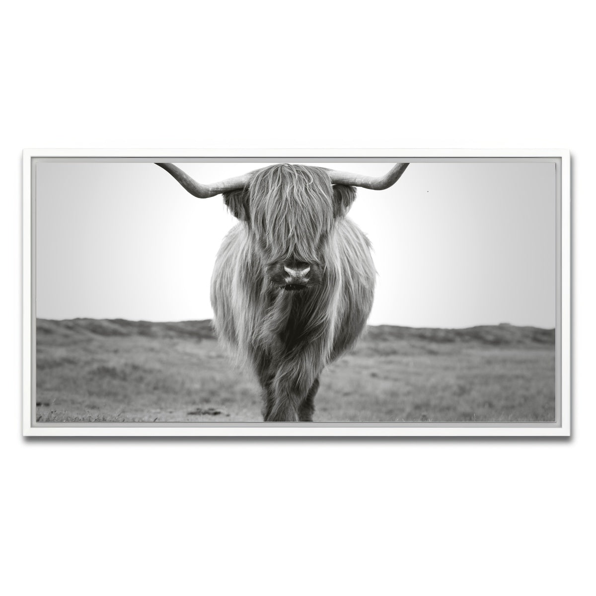 AUTO-MOCKUP WHITE | Scottish Bull | 1 Piece | White Framed Canvas | group=2x1