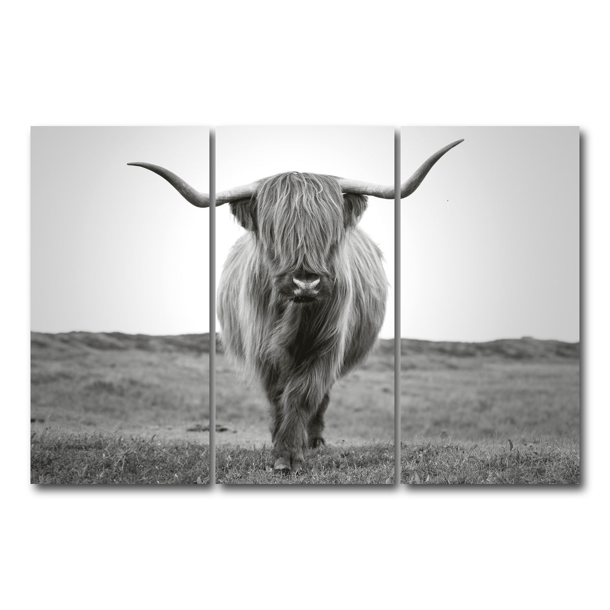 AUTO-MOCKUP WHITE | Scottish Bull | 3 Piece | Gallery Wrap Canvas | group=12x24