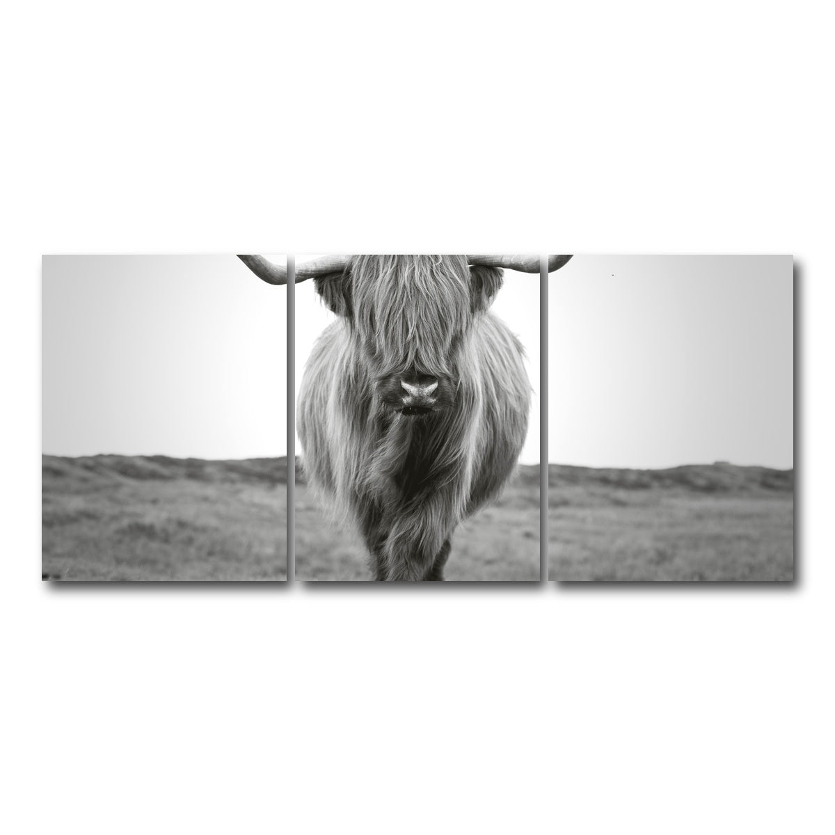 AUTO-MOCKUP WHITE | Scottish Bull | 3 Piece | Gallery Wrap Canvas | group=18x24