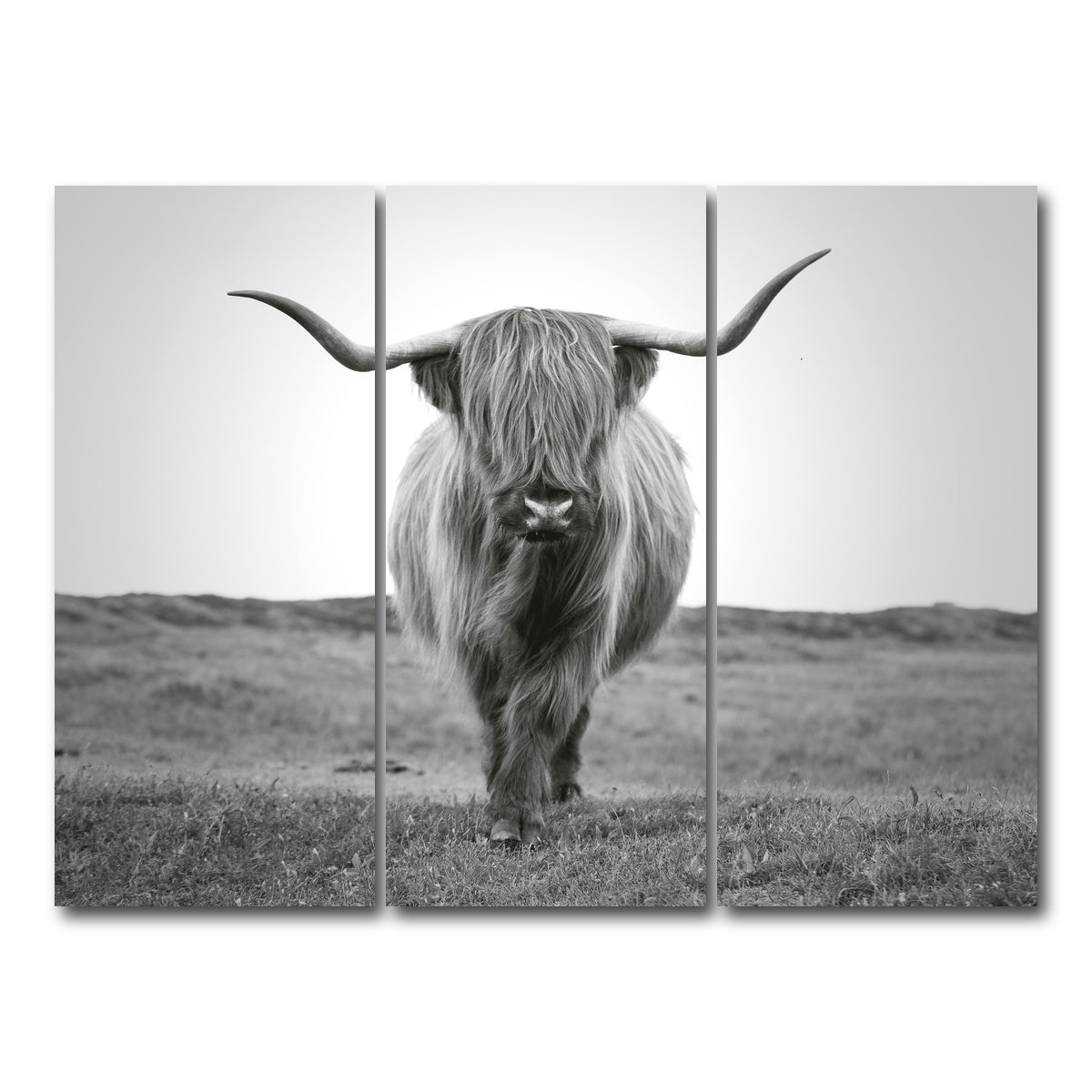 AUTO-MOCKUP WHITE | Scottish Bull | 3 Piece | Gallery Wrap Canvas | group=8x18