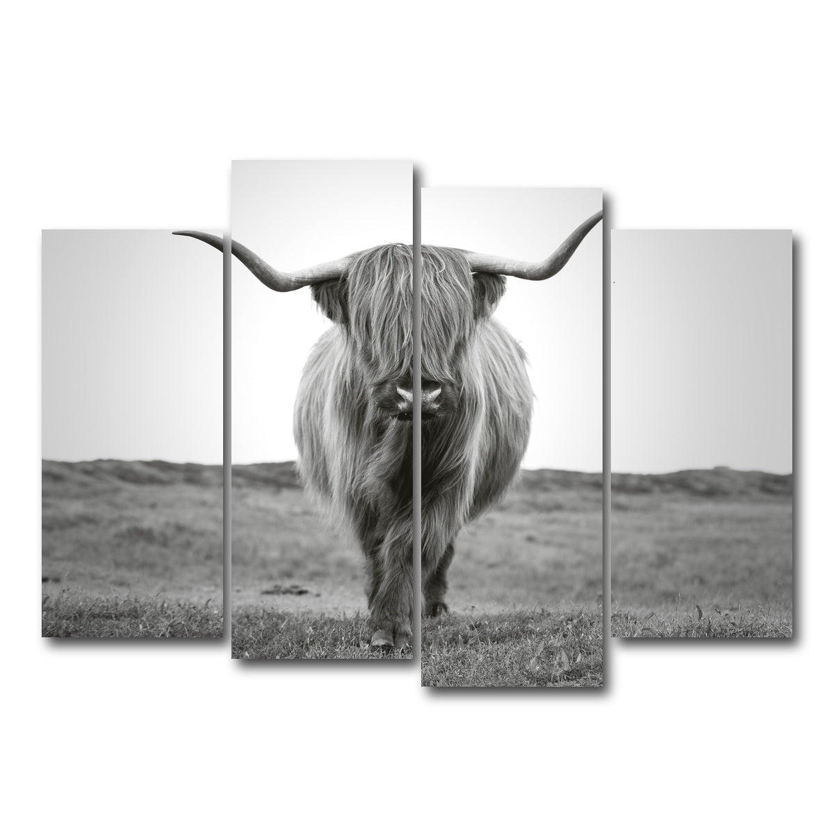 AUTO-MOCKUP WHITE | Scottish Bull | 4 Piece | Gallery Wrap Canvas | group=4_normal
