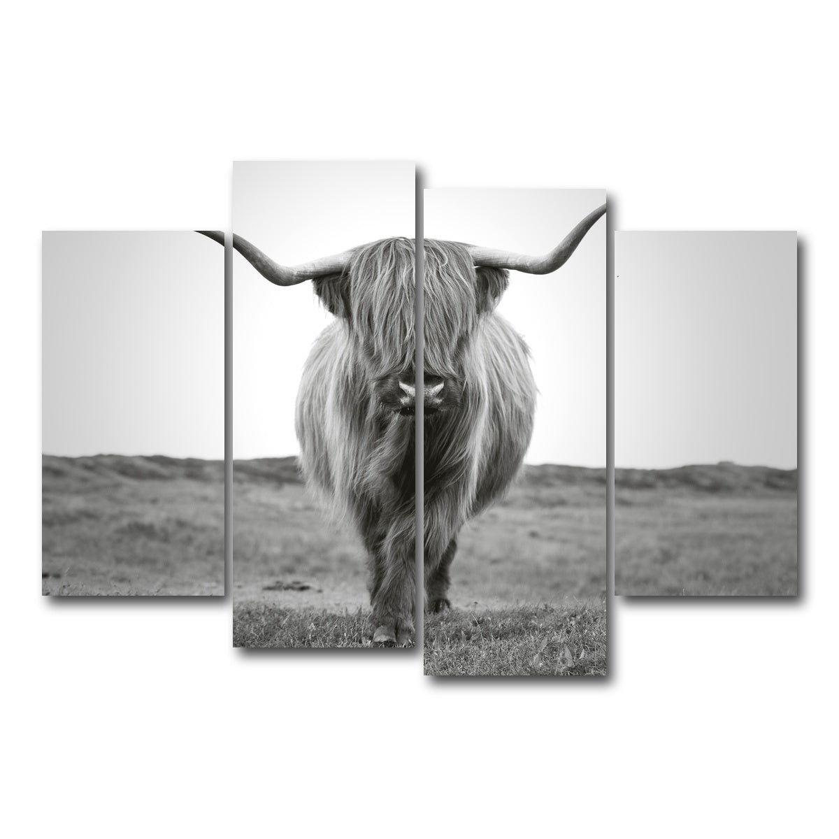 AUTO-MOCKUP WHITE | Scottish Bull | 4 Piece | Gallery Wrap Canvas | group=4_short