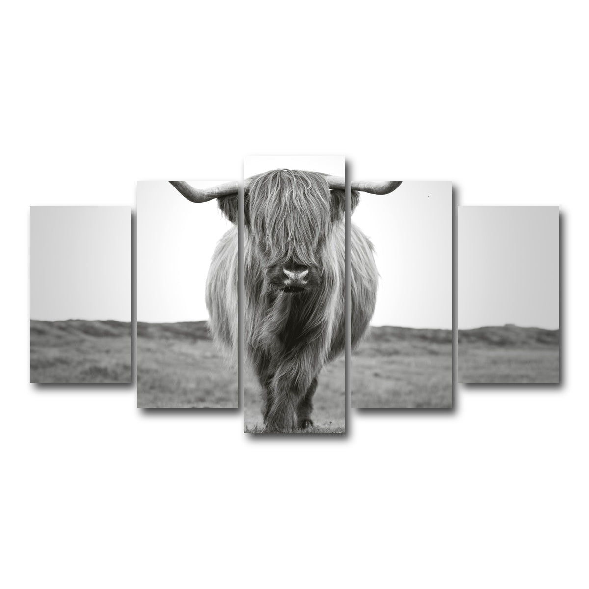 AUTO-MOCKUP WHITE | Scottish Bull | 5 Piece | Gallery Wrap Canvas | group=5_normal
