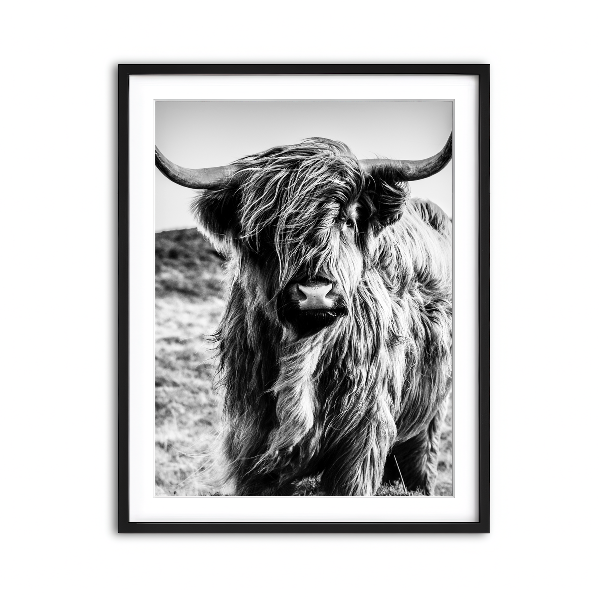 Framed Print 3x4 Black