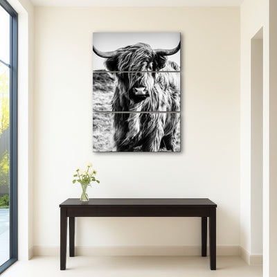 AUTO-MOCKUP ROOM | Scottish highland cow