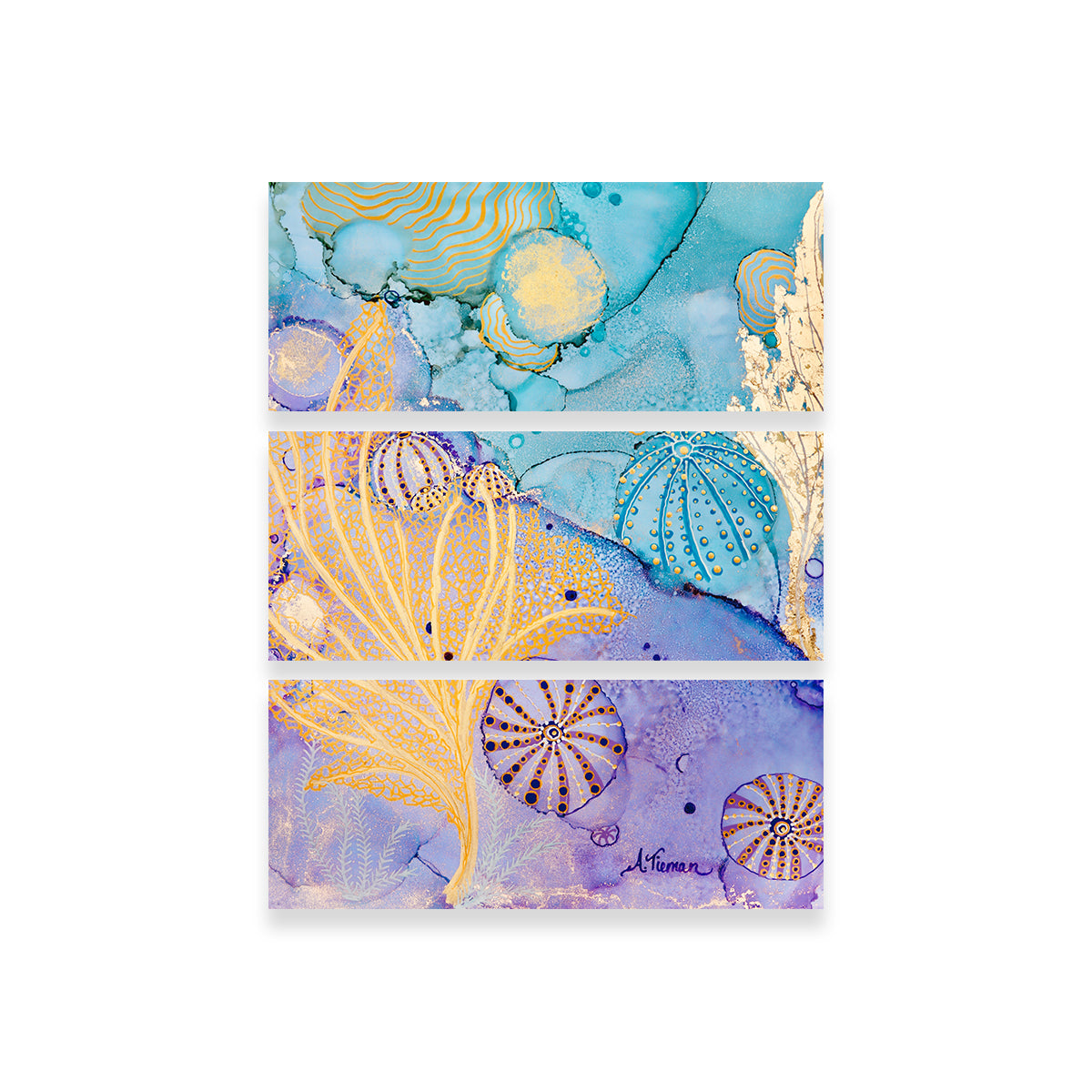 Sea Urchin Hideaway Wall Art