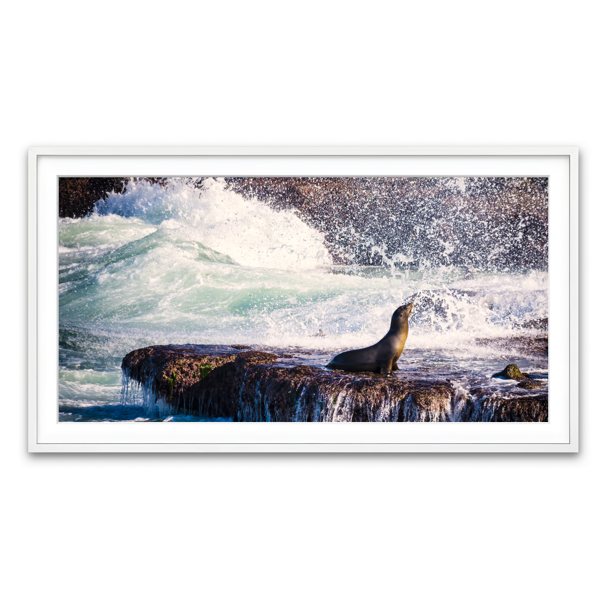 Framed Print 2x1 White