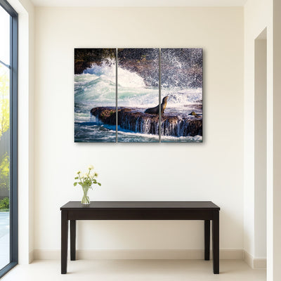 AUTO-MOCKUP ROOM | Sea Lion Surf La Jolla