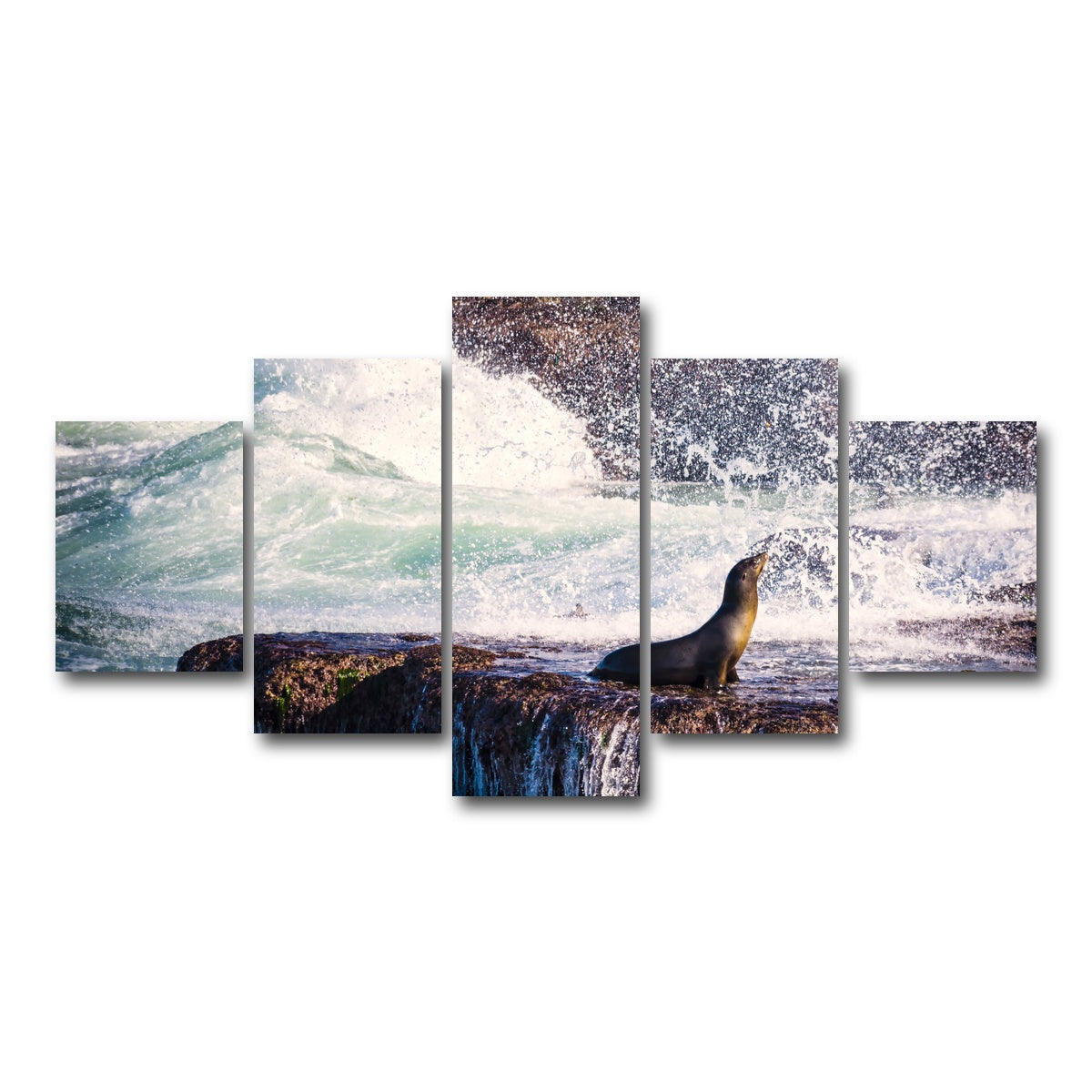 AUTO-MOCKUP WHITE | Sea Lion Surf La Jolla | 5 Piece | Gallery Wrap Canvas | group=5_short