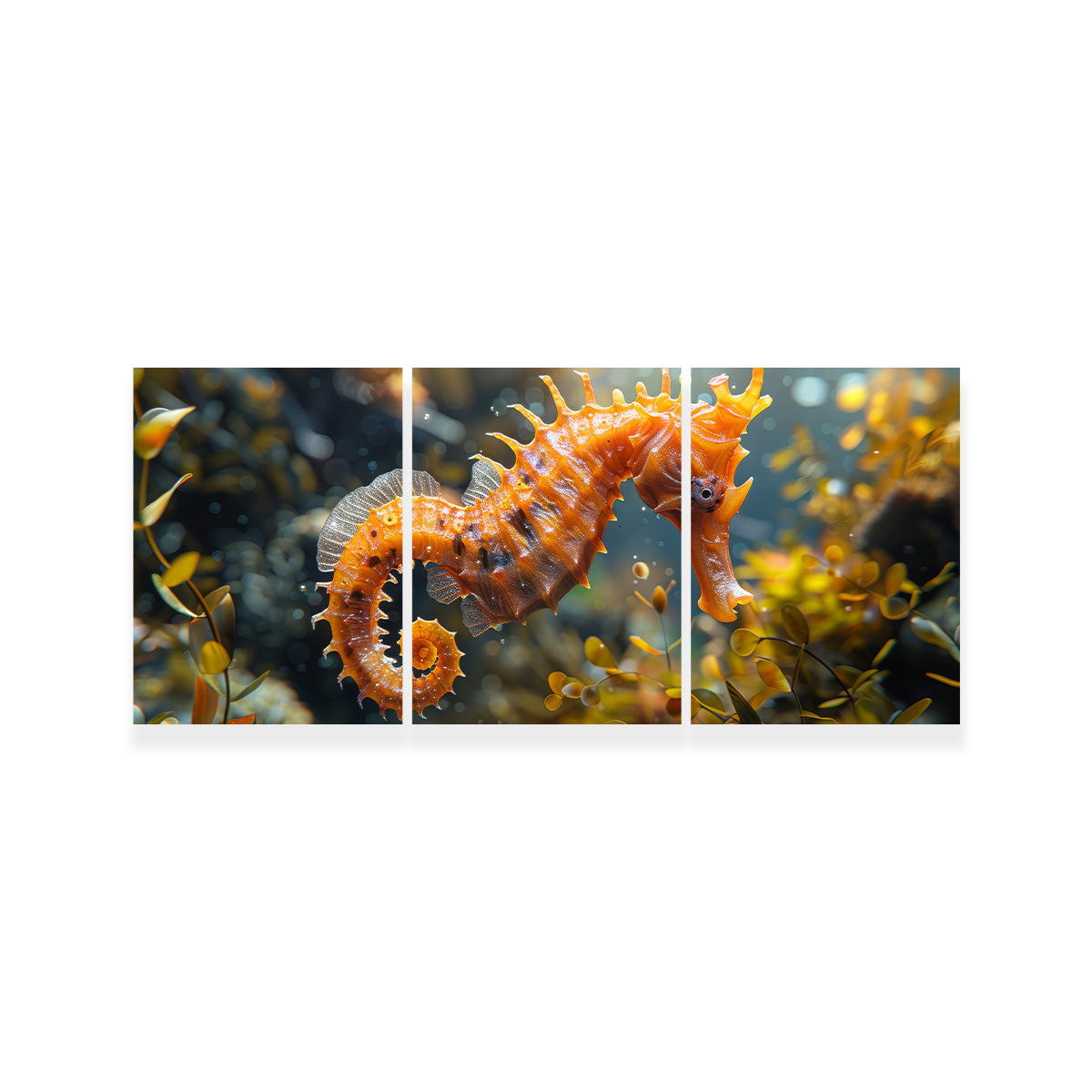 Seahorse Wall Art