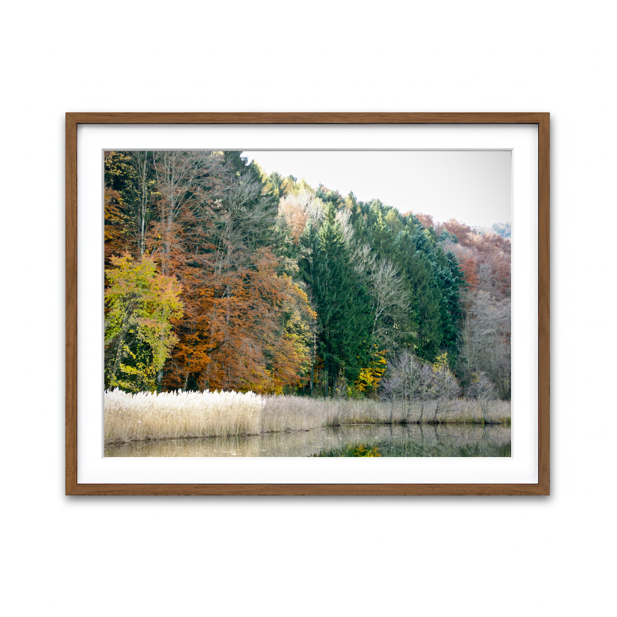 Framed Print 4x3 Walnut