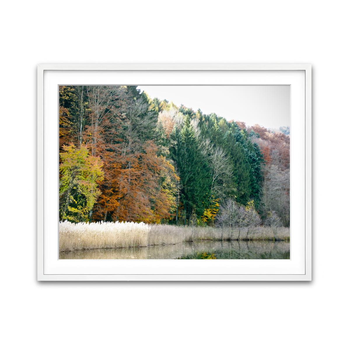 Framed Print 4x3 White