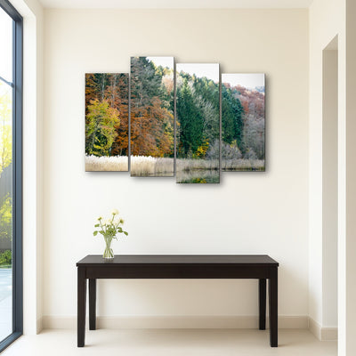 AUTO-MOCKUP ROOM | Seasons