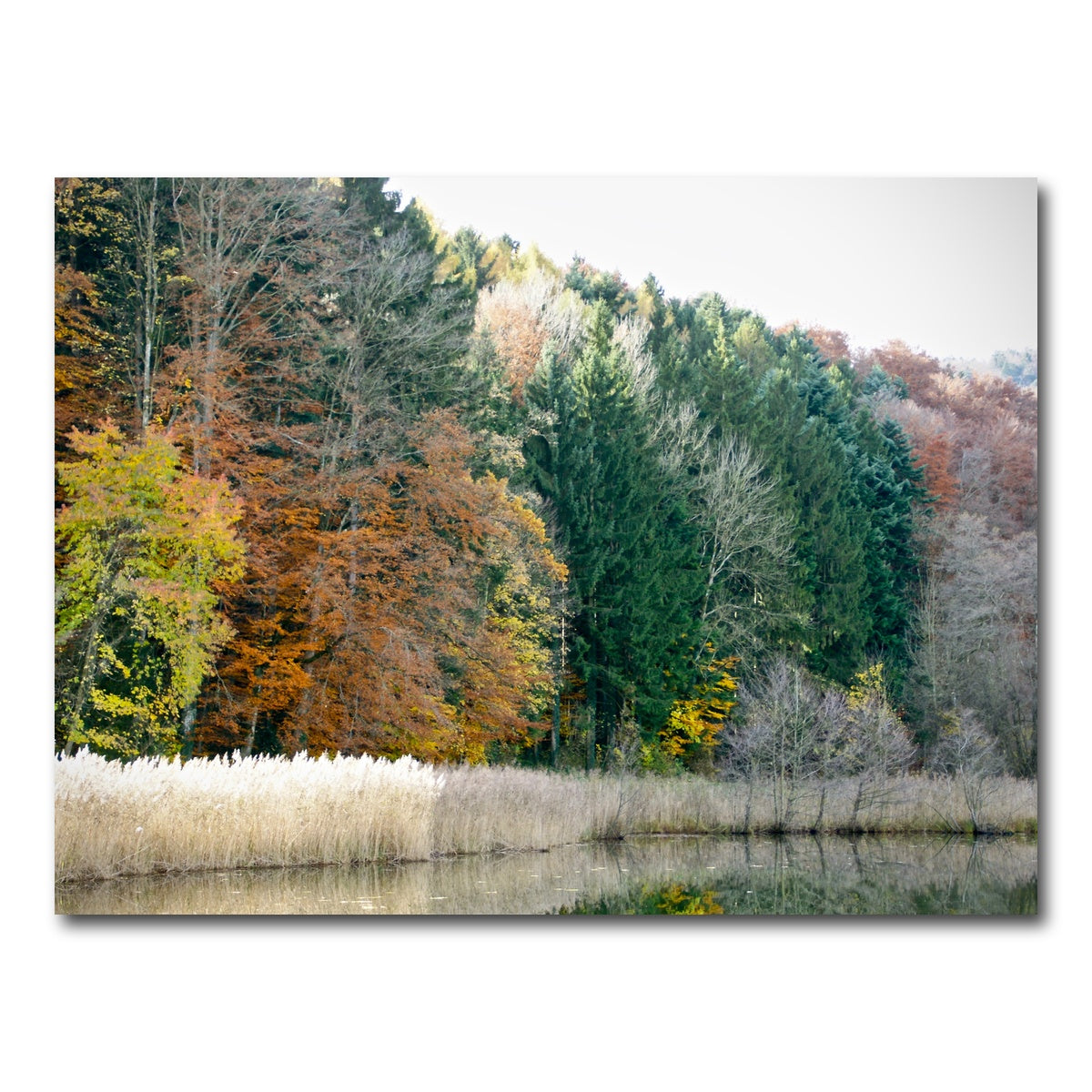 AUTO-MOCKUP WHITE | Seasons | 1 Piece | Gallery Wrap Canvas | group=4x3