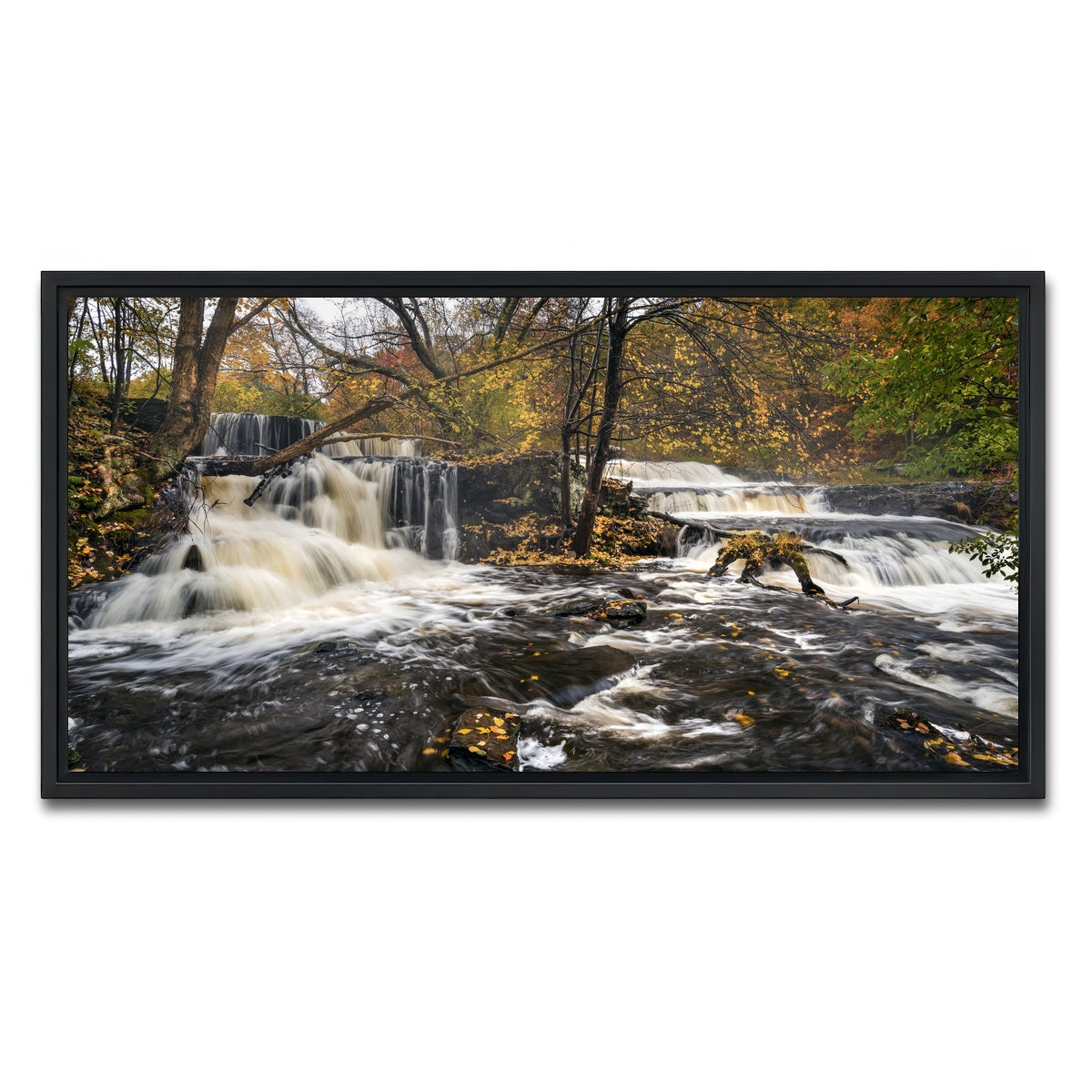 AUTO-MOCKUP WHITE | Seeing Double | 1 Piece | Black Framed Canvas | group=2x1