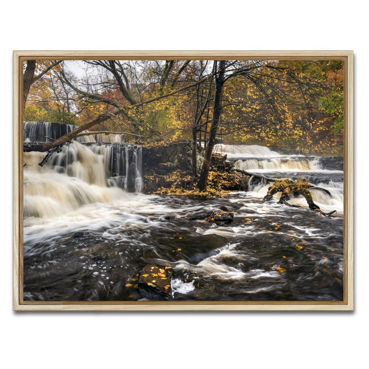 AUTO-MOCKUP WHITE | Seeing Double | 1 Piece | Natural Framed Canvas | group=4x3