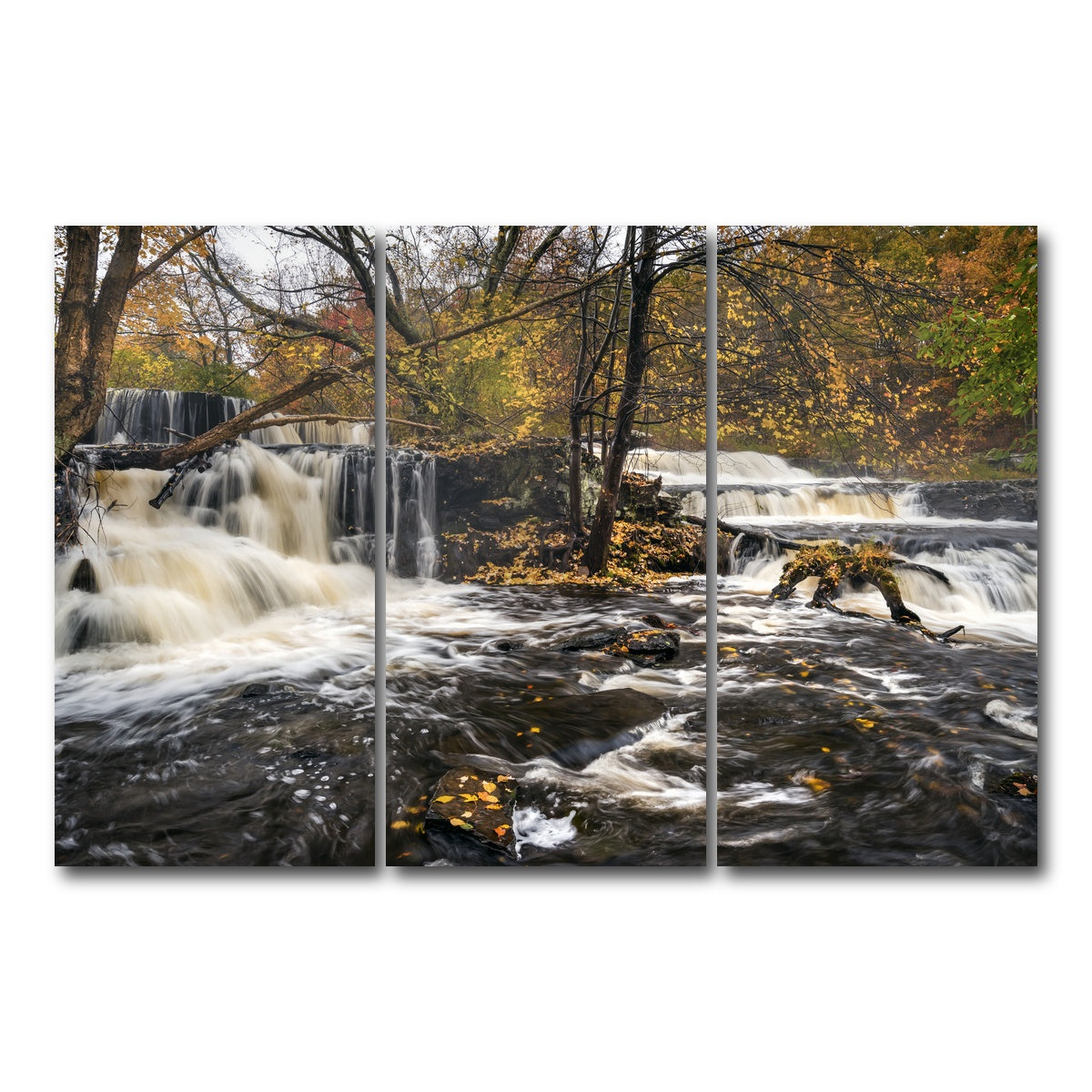 AUTO-MOCKUP WHITE | Seeing Double | 3 Piece | Gallery Wrap Canvas | group=12x24