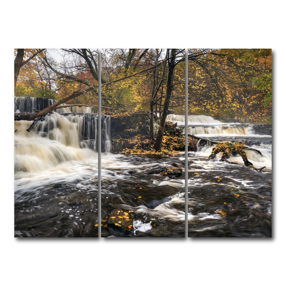 AUTO-MOCKUP WHITE | Seeing Double | 3 Piece | Gallery Wrap Canvas | group=8x18