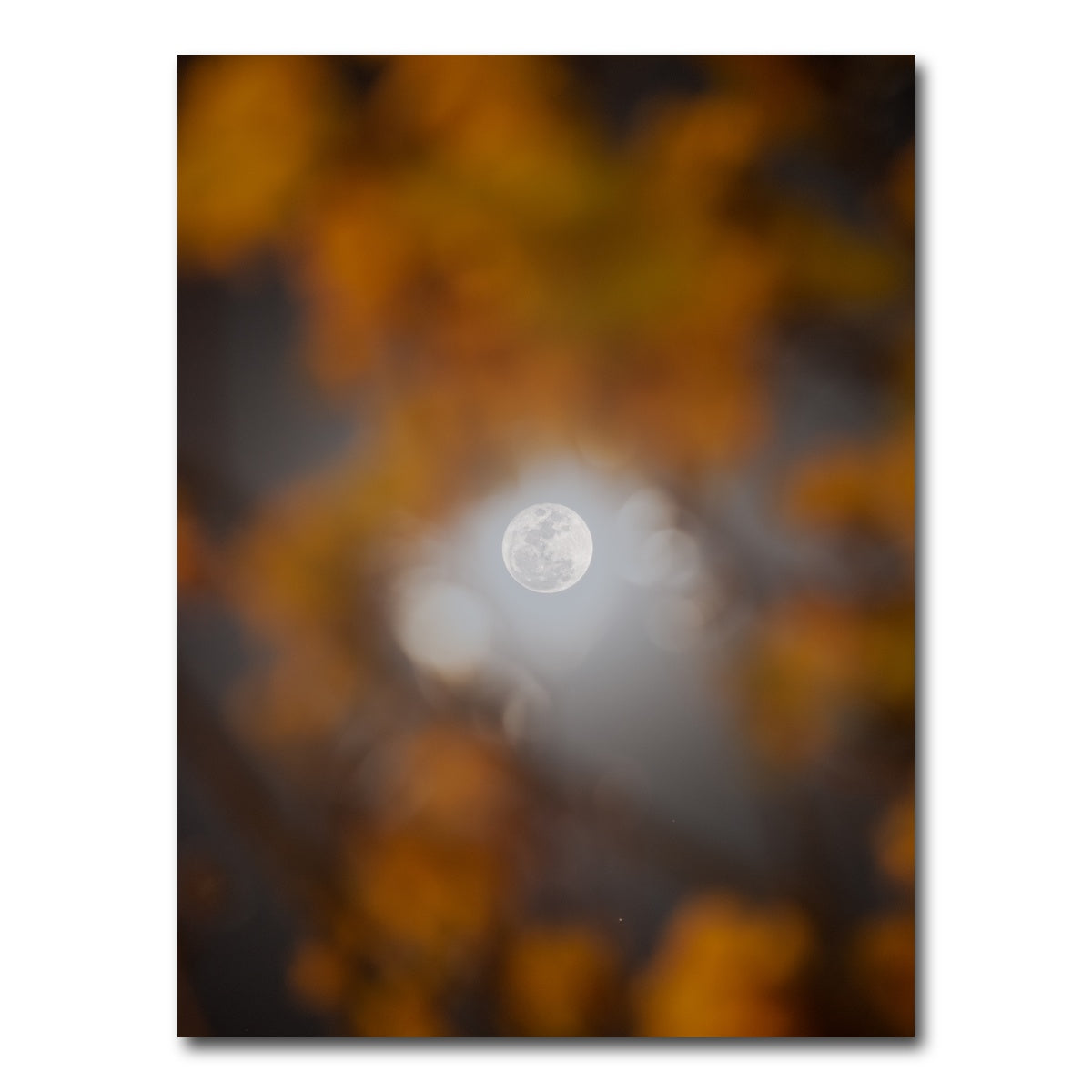 AUTO-MOCKUP WHITE | Selene and Yellow Ipe | 1 Piece | Gallery Wrap Canvas | group=3x4