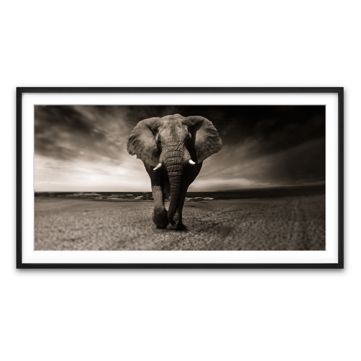Framed Print 2x1 Black