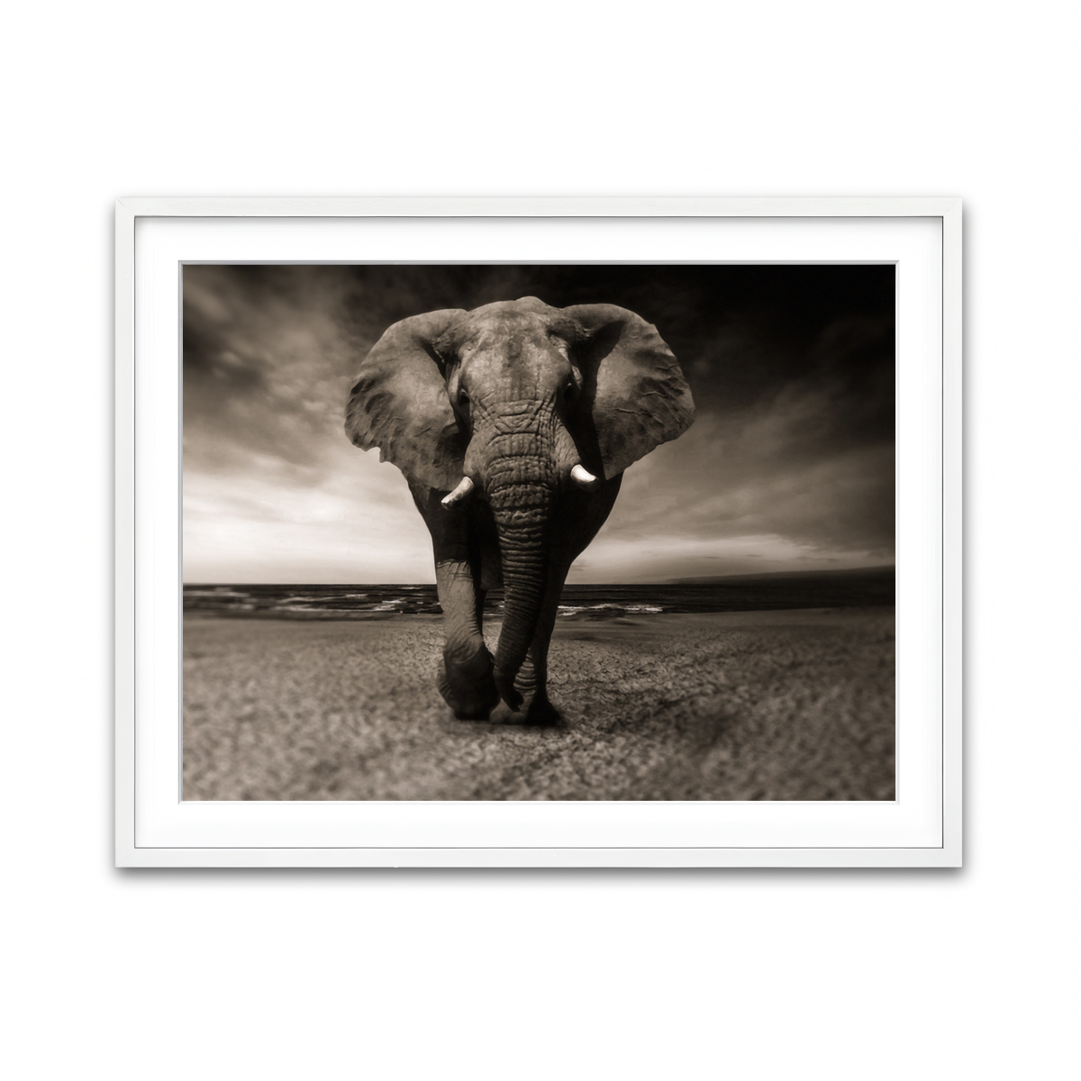 Framed Print 4x3 White