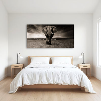 AUTO-MOCKUP ROOM | Sepia Elephant