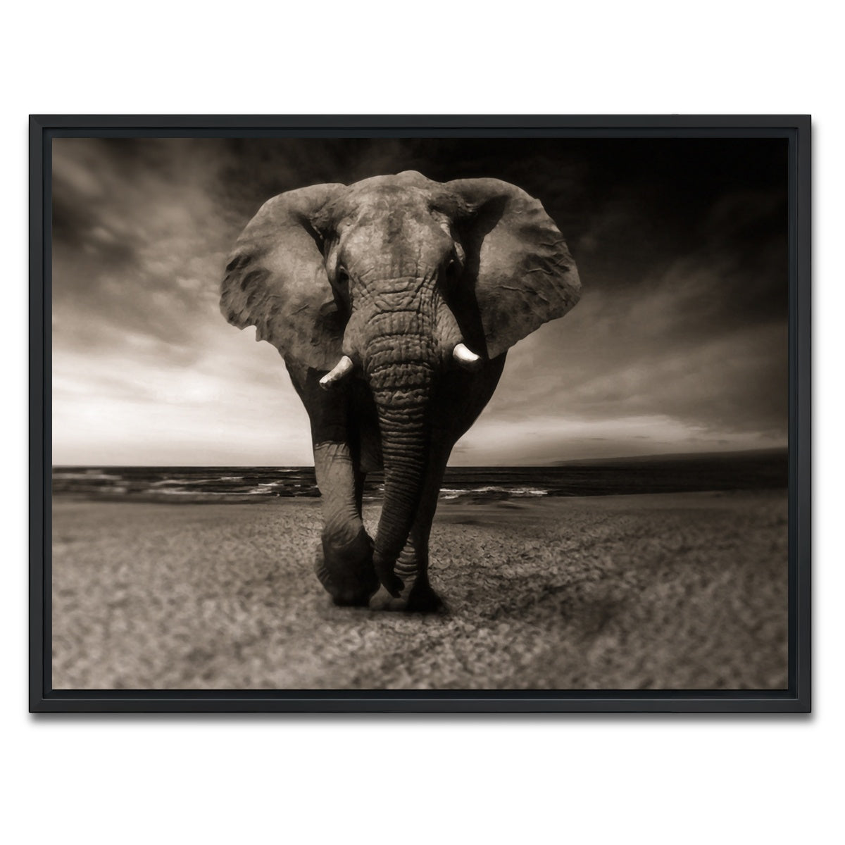 AUTO-MOCKUP WHITE | Sepia Elephant | 1 Piece | Black Framed Canvas | group=4x3