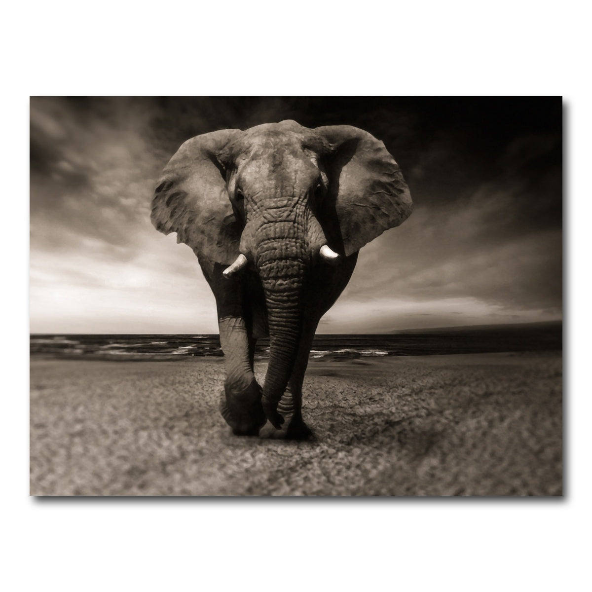 AUTO-MOCKUP WHITE | Sepia Elephant | 1 Piece | Gallery Wrap Canvas | group=4x3