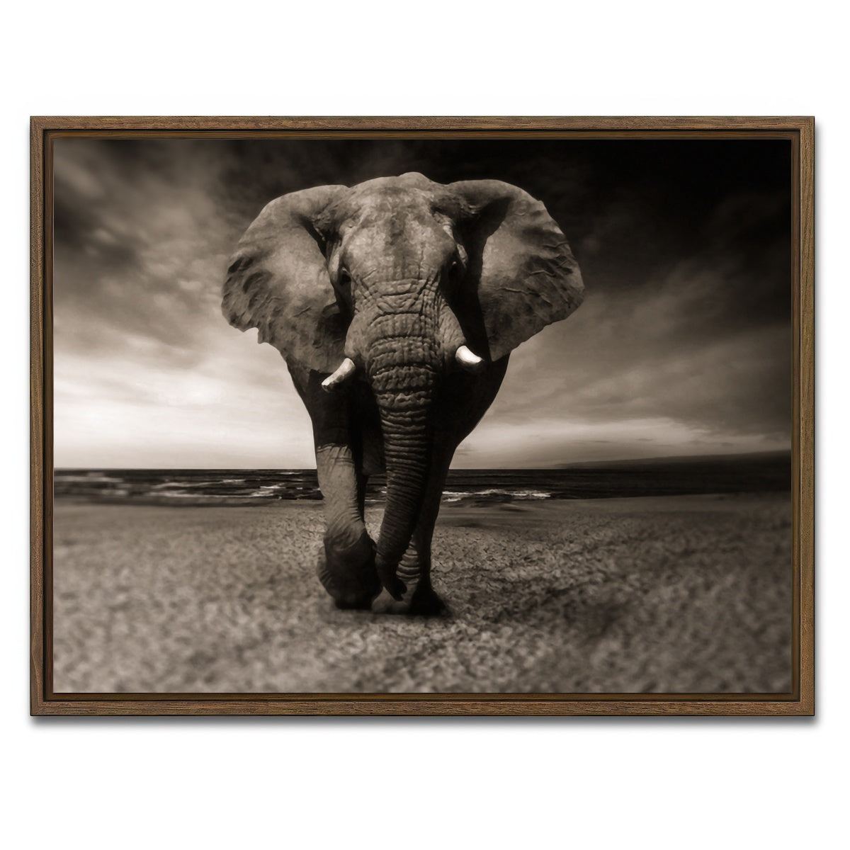 AUTO-MOCKUP WHITE | Sepia Elephant | 1 Piece | Walnut Framed Canvas | group=4x3