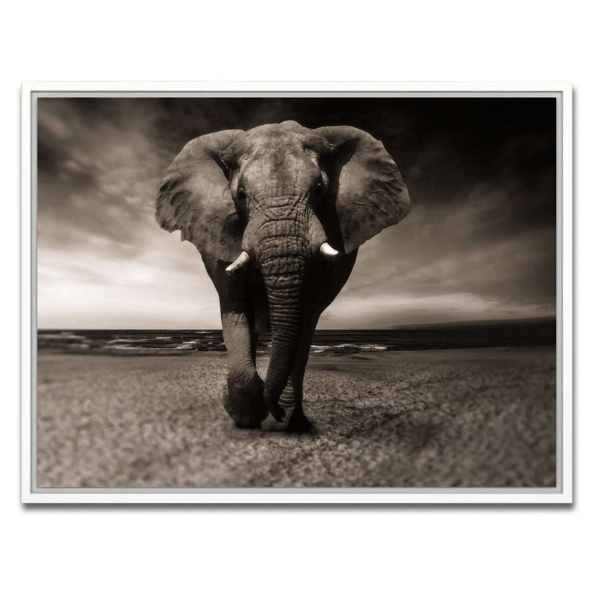 AUTO-MOCKUP WHITE | Sepia Elephant | 1 Piece | White Framed Canvas | group=4x3