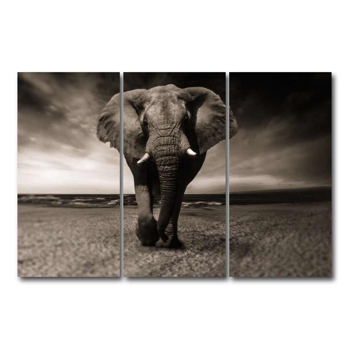 AUTO-MOCKUP WHITE | Sepia Elephant | 3 Piece | Gallery Wrap Canvas | group=12x24