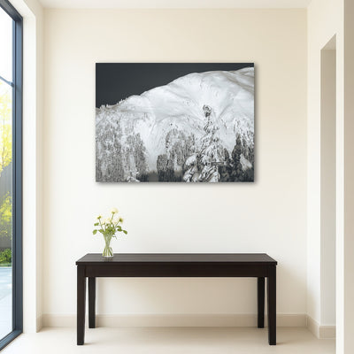 AUTO-MOCKUP ROOM | Shames Mountain 2