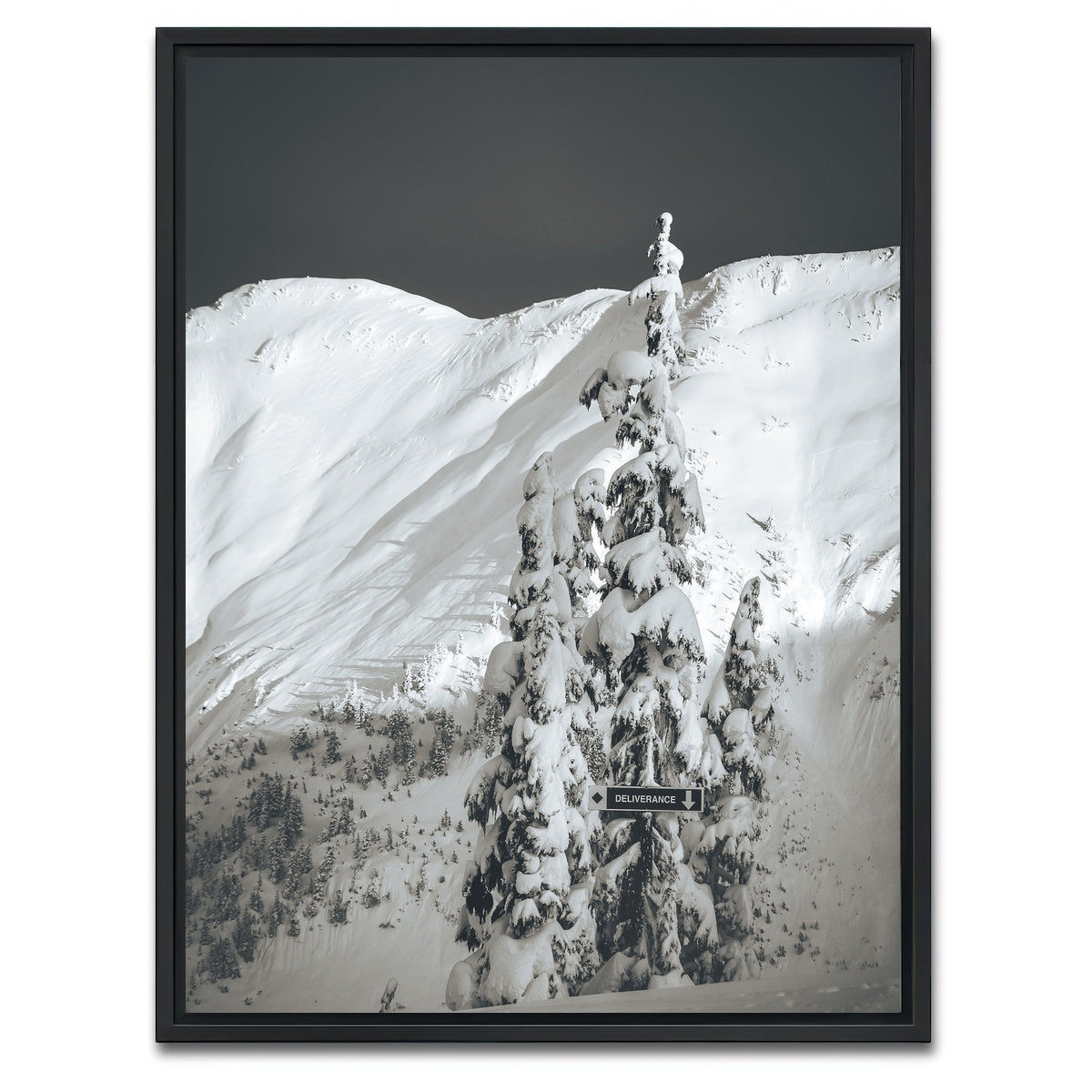 AUTO-MOCKUP WHITE | Shames Mountain 3 | 1 Piece | Black Framed Canvas | group=3x4