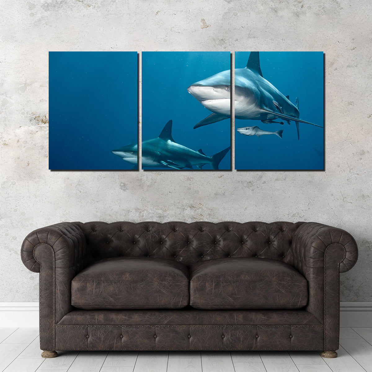 Shark Pair Wall Art