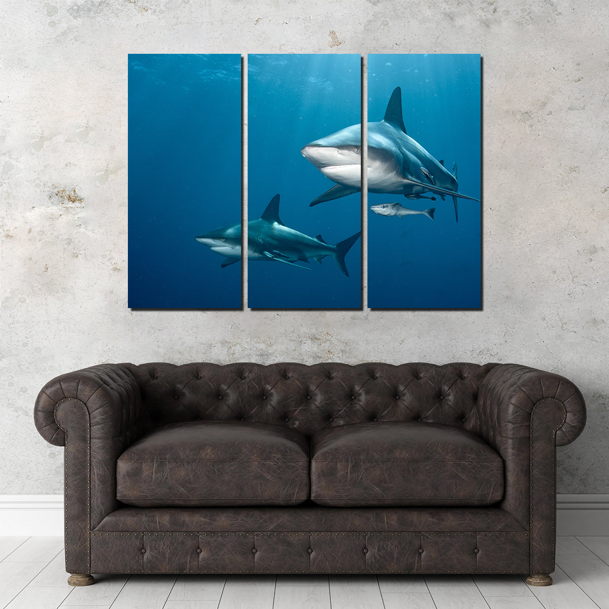 Shark Pair Wall Art