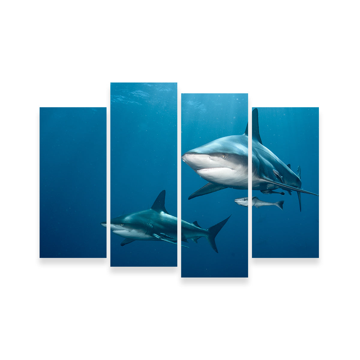 Shark Pair Wall Art