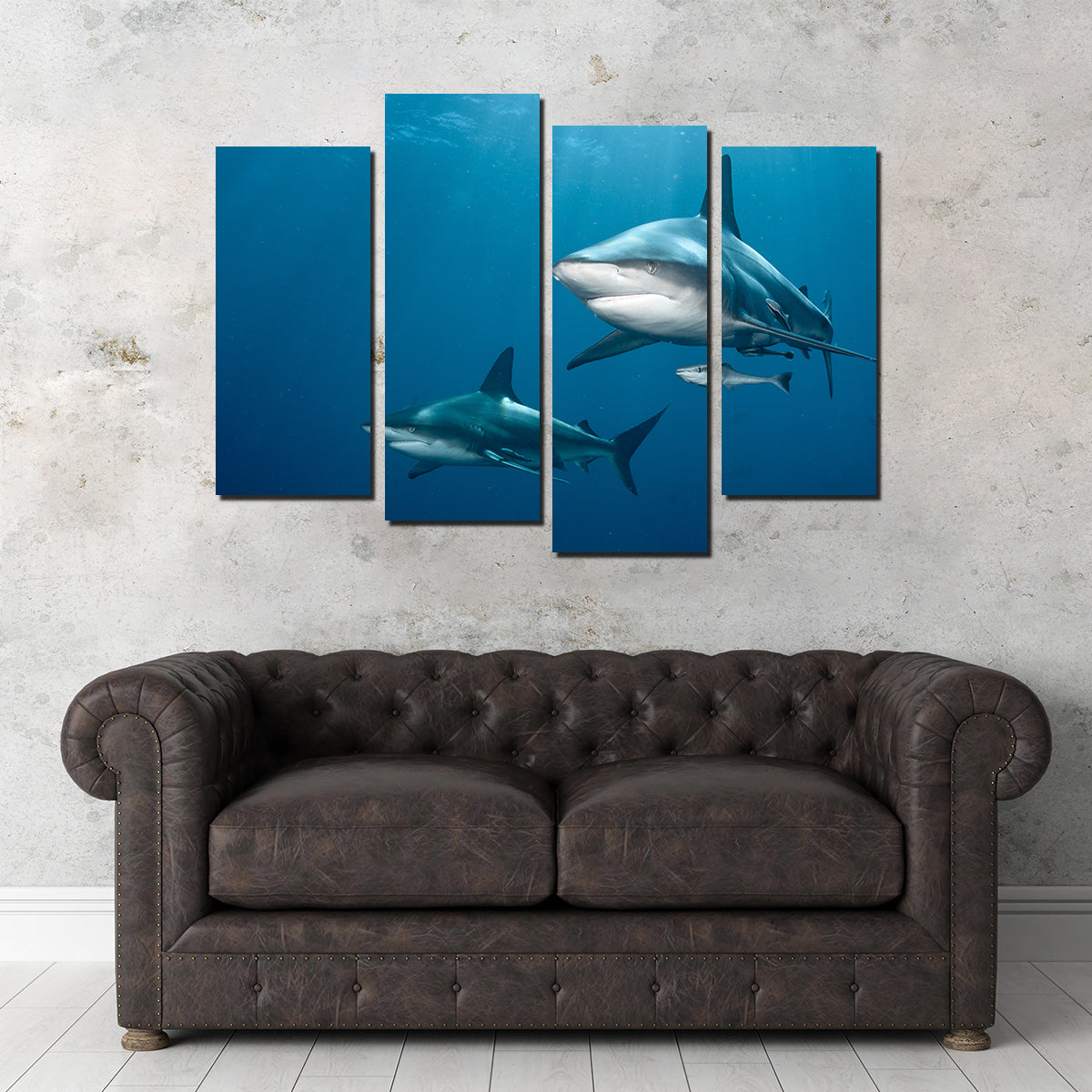 Shark Pair Wall Art