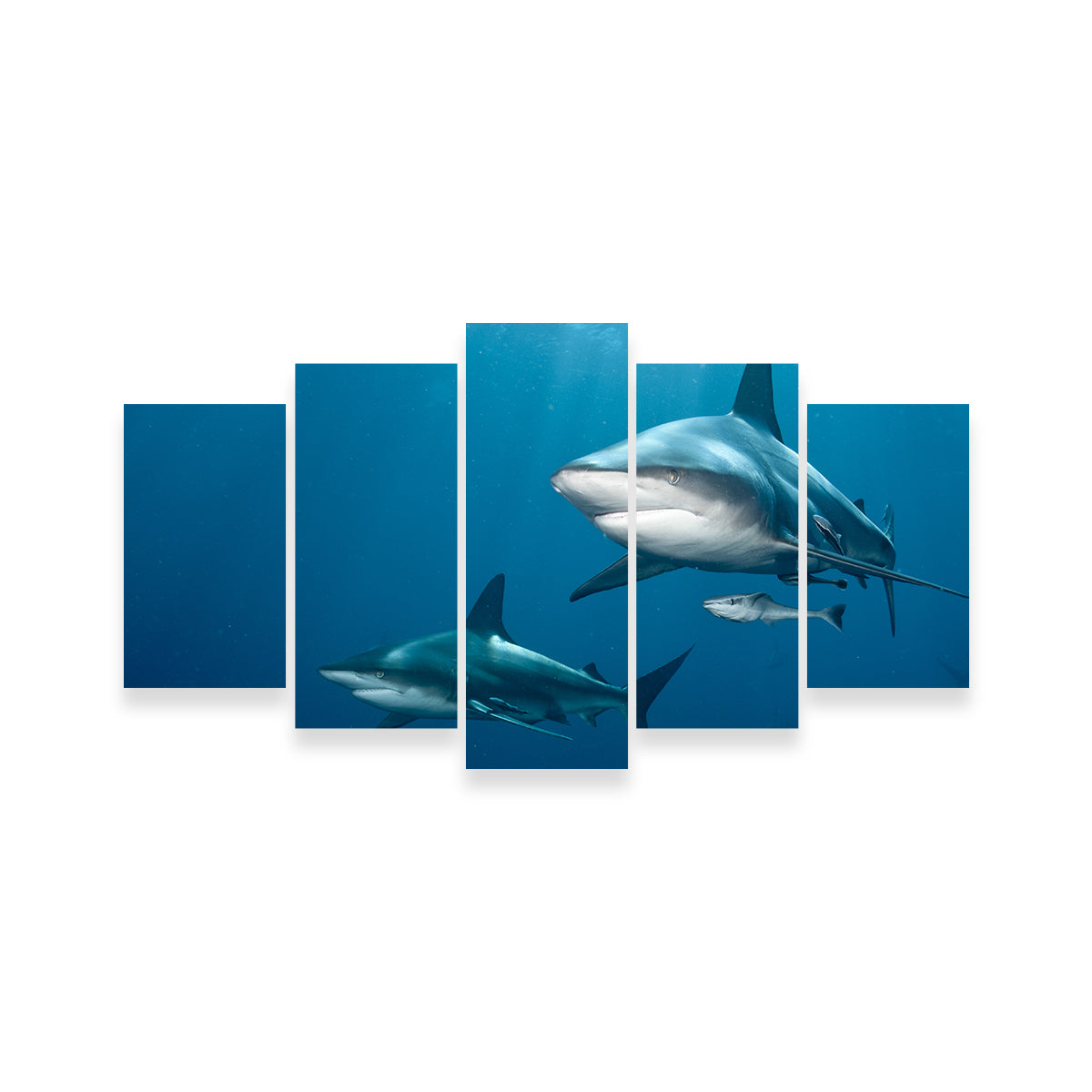 Shark Pair Wall Art
