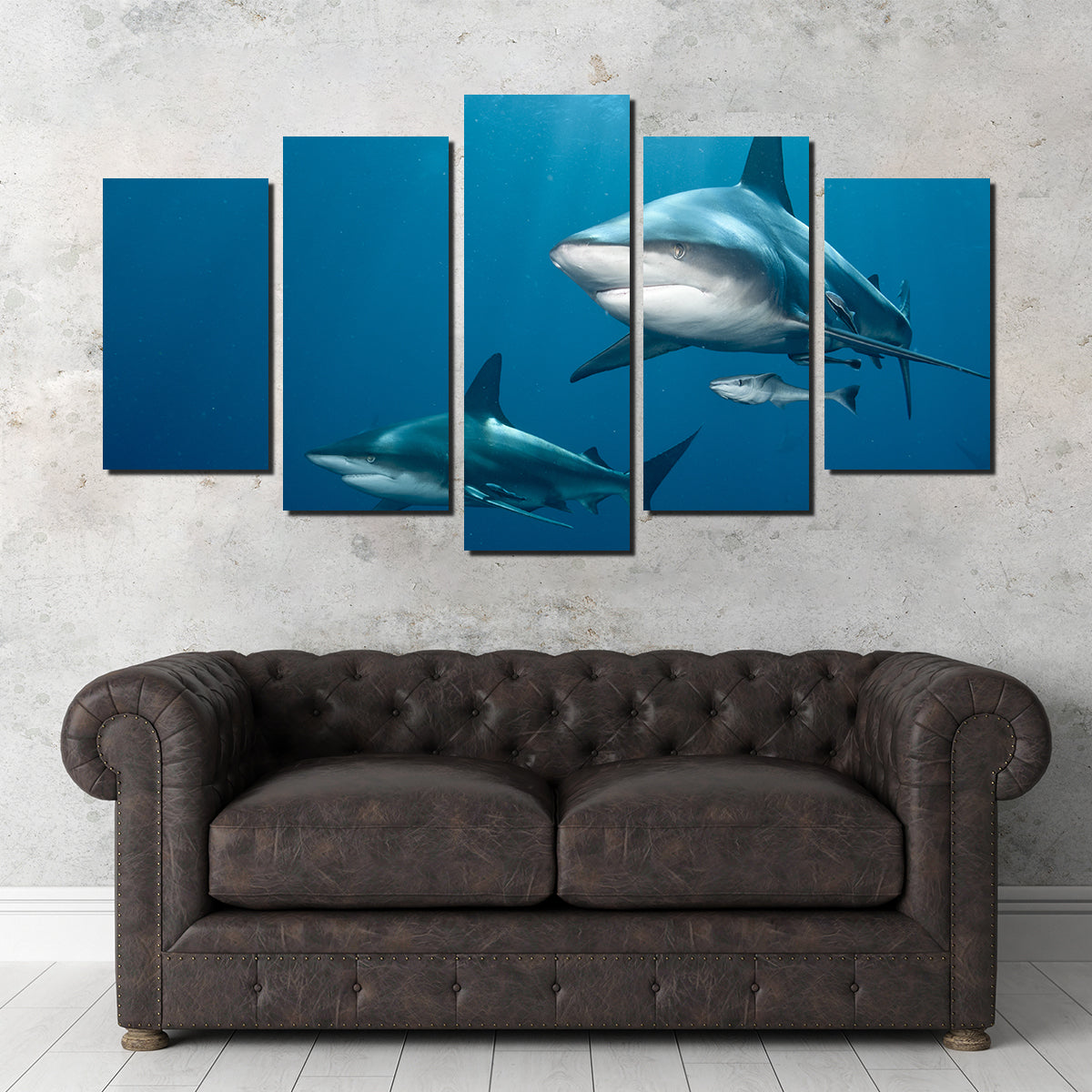 Shark Pair Wall Art