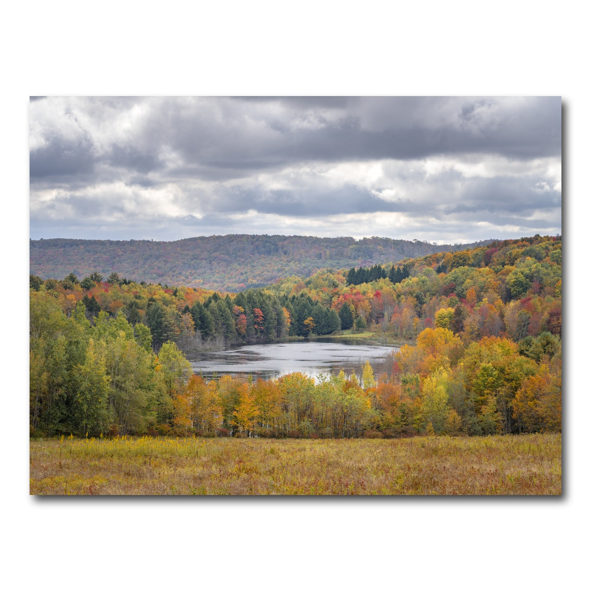 AUTO-MOCKUP WHITE | Shark Fin Pond | 1 Piece | Gallery Wrap Canvas | group=4x3